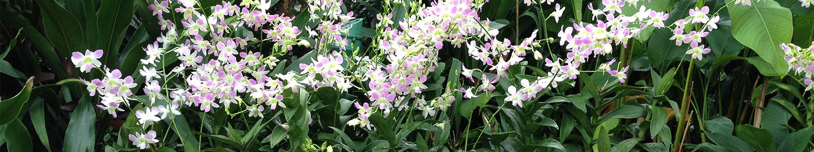 Retiro Gran Canaria 2026